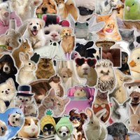 50PCS Transparent Fun Pattern Stickers for Pets Sticker Nostalgia Modern Coffee Bicycle PVC Skateboard Art Picture Stickers