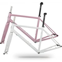 AliExpress NONE Seaboard New CT1 Road Frame Internal Wiring Flat Handle Gravel Frame Aluminum Alloy 700C Disc Brake Barrel Shaft Aluminum Fork