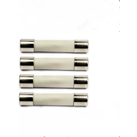 10PCS 6.3 x 32mm FF315mA FF500mA FF630mA FF800MA FF10A FF16A 1000V SIBA Ceramics Fuse DMI-Fuse For Multimeter Brand New