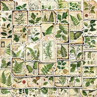 50PCS Fragmentation Of Botanical Garden Labels Stickers Notebook Coffee Skateboard Phone PVC Creative Fun for Sticker