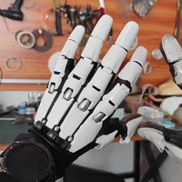 AliExpress NONE Armor Gloves Sci-Fi Punk Mechanical Armor Hand Halloween Articulated Fingers with Protective Gloves for Cosplay Props Men Women