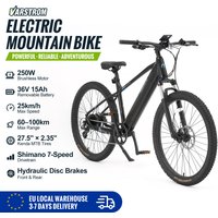Elektrisches Mountainbike mit direkter EU-Konformität, Höchstgeschwindigkeit 25 km/h, Nabenmotor mit hohem Drehmoment 80N.m und 250W, Lithium-Akku 36V 15Ah, Reichweite 100km, 8-Gang-Schaltung,