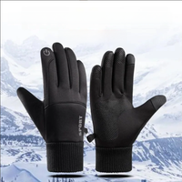 AliExpress NONE Winter Waterproof Men's Gloves Windproof Sports Fishing Touchscreen Driving Motorcycle Ski Non-slip Warm Cycling Women Gloves
