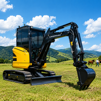 Hot Selling 2.8 Ton High Power Hydraulic Crawler Mini Digger Euro 5 EPA Horsepower Diesel Power Small Excavator Customized Sale