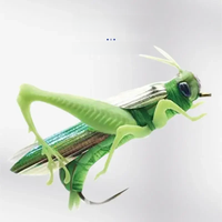 Insect Bionic Fishing Lure Grasshopper Minnow Hard Baits Crankbait Artificial Swimbaits Bass Carp Pike Fishing Tackle