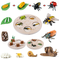 AliExpress BillBuff Children Simulation Biology Model Toy Animal Plant Life Growth Cycle Montessori Children Toys Set Teaching Aids Educational Toys