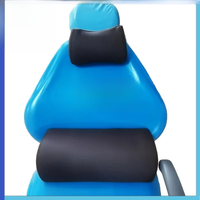 Dental Chair head pillow Cervical Pad Lumbar Pad Use For Dentistry Chair Memory Foam Office Lumbar Massage Pillow Back Support