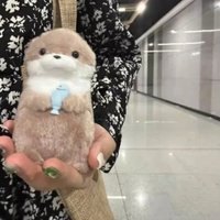 New 11cm Otter Doll Cute Little Otter Little Animal Plush Toy Cute Internet Red Wind Mini Doll Table Decoration Christmas Gift