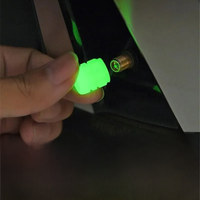 AliExpress Luminous Valve Caps Car Fluorescent Tire Valves Cap Glow In The Dark Car Motorcycle Bike Wheel Plugs Tyre Hub Cover Decor