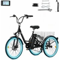 Elektro Dreirad 24'' mit Heckkorb M300, 36V 22,5Ah, 7 Gänge Schaltung, 50-80km Reichweite, 25 km/h, LCD Bildschirm, Daumengas, Mechanische Bremse, 250