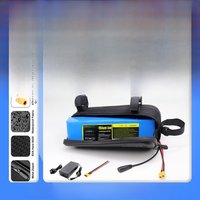 AliExpress Reoaoone 36V/48V 10Ah-14Ah Rechargeable Lithium Battery Pack 10S3P 13S3P 500W Power Bicycle Scooter Electric Vehicle with Waterproof Bag