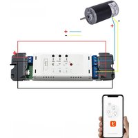 Tuya Smart 2CH Wifi DC Motor Forward Reverse Switch,12V 24V 32V,2 Channel Module Relay,Alexa Google Alice RF 433 Remote Control