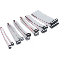 2PCS 2.54MM pitch FC-6/10/14/16/20/40 PIN 30CM JTAG ISP DOWNLOAD CABLE Gray Flat Ribbon Data Cable FOR DC3 IDC BOX HEADER