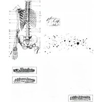 2024 New Skeleton Table Clear Stamps Words and Tag Die Scrapbooking For Halloween Crafts Paper Card Making no Metal Cutting Dies