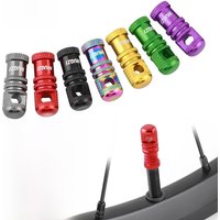 AliExpress MUQZI 2/4PCS Presta Valve Cap with Valve Core Removal Function Bike Tubeless Tire Valve Stem Cap MTB Accessories