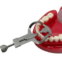 Dental Tooth Separator Anterior/Posterior Tooth Divider Wedges Retainer Orthodontic Matrix Rubber Dam Dentist Tool