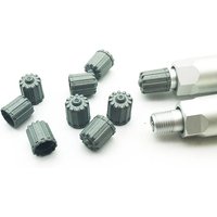 AliExpress NONE 10Pcs Car Tire Valve Stem Caps Nylon Tyre Air Port Dust Covers W/ Gasket Gray Car Accessories for Auto Bike Air Valve Caps