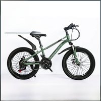 AliExpress SKIG Adult Mountain Bike Variable Speed Bike Double Disc Brake Children's Bike 20