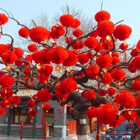 10pcs Chinese New Year Decoration Red Lantern Newyear Dragon Year Traditional Lanterns Wall Decor Japanese Lantern Asian Decor