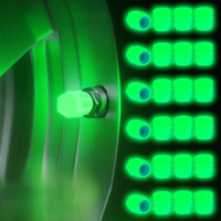 AliExpress 1-20PCS Luminous Car Tire Valve Cap Fluorescent Night Glowing Decor Motorcycle Bike Wheel Nozzle Dustproof Tyre Valve Stem Caps