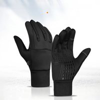 AliExpress Outdoor motorcycle gloves with winter insulation and waterproof electric bike handle cover touch screen full finger riding equip