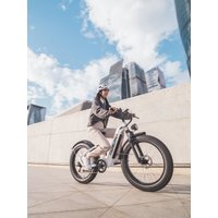 AliExpress RZOGUWEX S9 Adult Electric Bicycle 1000W Motor All-Terrain E-bike 48V25Ah Battery City ebike 20 Inch Fat Tires E-Mountain Bike
