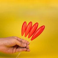 5pcs Fishing Floats Set Buoy Bobber Plastic Casting Bombarda Inline Surface Float Carp Fishing Terminal Tackle 10g-50g