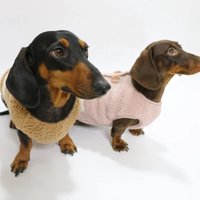 Wiener Badger Sausage Warm Berber Fleece Short Sleeves Pink Brown Vest Winter Sweatshirt for Dachshund Poodle Puppy