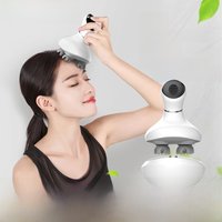 Head Massager Scalp kneading Vibration Waterproof Electric Multifunctional Wireless Portable Dragon Claw Hand Cat Pet Massager