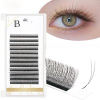 Befer Natural False Eyelashes 0.07/0.10 Thickness Super Soft Eyelash 8-15mm Lashes Extension Supplier High Quality Wholesale