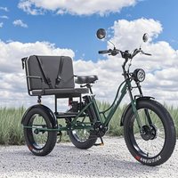 AliExpress 24 Inch 3 Wheel Electric Bicycle Off Road 750w48v Passenger Electric Tricycle 2 Seat For Woman Man Mountain Bike