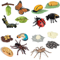 AliExpress gootrades Animal Life Cycle Children Toys Simulation Plant Model Montessori Teaching Aids Animal Growth Cycle Model Set Cognitive Toy