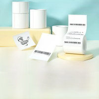 E210 Label Printer Paper Label Sticker 50*80mm 50*30mm 40*30mm 30*20mm Compatible M110 M220 M200 P50 DETONG P1 Mini Printer