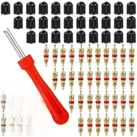 AliExpress 100Pcs Repair Tool Kit Replacement For Presta Bike Tire Valve Caps with Rubber Ring Covers for Car Bicycle Trucks Motorcycles