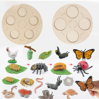 AliExpress NONE Montessori Wooden Lifelike Insect Animal Life Cycle Board Teaching Plant Animals Growth Cycle Model Set Preschool Cognitive Toy