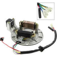 AliExpress FLYPIG 2Coil Ignition Magneto Stator Plate For 50cc 70cc 90cc 110cc 125cc Taotao Kazuma XR50 SSR 107 110 125 cc Baja ATV Quad Dirt Bike