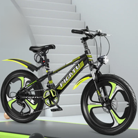 AliExpress NONE Student Bicycle Variable Speed Bicycle 20 Inch 22 Inch 24 Inch Variable Speed Mountain Bike Children's Bicycle New