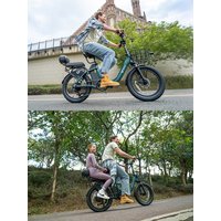 AliExpress DYU C9 Electric Bike Foldable 250W 48V 15.6Ah 20*3.0 Inch All Terrain Fat Tires Folding E-bike Oil brake Max 150KM 25km/h