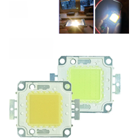 LED Chip Beads 100W 50W 30W 20W 10W 30-32V Backlight Diode Lamps Cold White Warm White LED Matrix For DIY LED Flood Light Bulbs