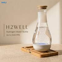 SPE PEM Hydrogen Water Generator High Concentration Glass Carafe Water Ionizer Maker Antioxidant Health Pitcher for Home Use