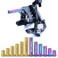 AliExpress RISK 1Set Titanium Road Bike C Caliper Nut, Bicycle Brake Turning Point Fixing Screw Bolt with Washer, C-Brake Pivot Nut UT6800 DA