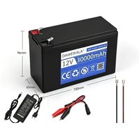 12V 30Ah 18650 Lithium-Akku-Pack mit 30A BMS und 3A Ladegerät für Hochstrom-Sprühgeräte, Spielzeugautos, weltweiter Lufttransport, kompatibel