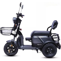 AliExpress Family 3 Wheeled Electric Tricycle 3 Seater 48V 600W 3 Wheel Electric Bike Tricycle Parent And Child Adult Electric Motorcycle