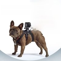 Pet Harness Mount for Gopro Hero DJI Action Insta 360 Go3 X2 X3 Back Dual-Camera Position View Mount Pet Perspective Strap Mount