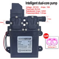 DC 12V 120W 8L/Min Durable High Pressure Diaphragm Water Pump High Pressure Self-priming Diaphragm Water Pump with Automatic