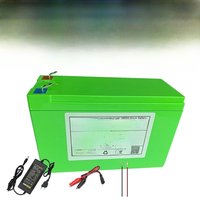 12v Battery 10000mAh lithium battery pack built-in 20A BMS electric kid's car sprayer battery Electric LED lighting