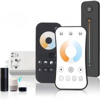 Wifi Tuya Zigbee 2CH LED Controller DC 12V 24V Smart Dimmer with Push Dimming RF 2.4G Remote Control for WW CW CCT Strip Lights