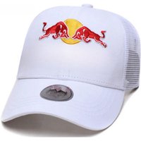 AliExpress High quality Red Bull baseball cap, men's and women's cycling cap, mesh cap, fashionable embroidery, casual sports duckbill cap
