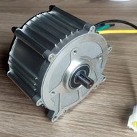 Electric lawn mower motor