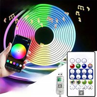 RGBIC Neon Strip Light 5V USB Power With Bluetooth App Remote Control Waterproof Flexible Ribbon Tape Neon Lights 1M 2M 3M 5M